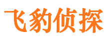 登封市私家侦探